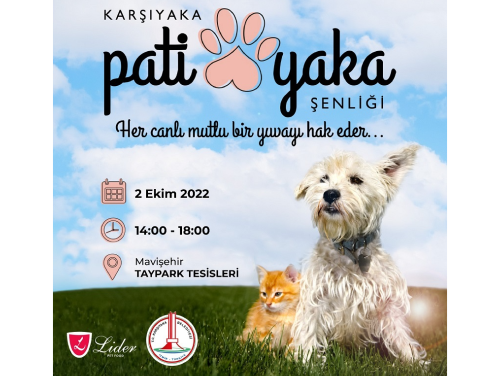 Patiyaka Şenliği