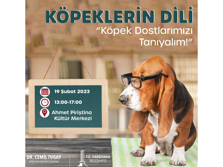 Köpeklerin Dili - 