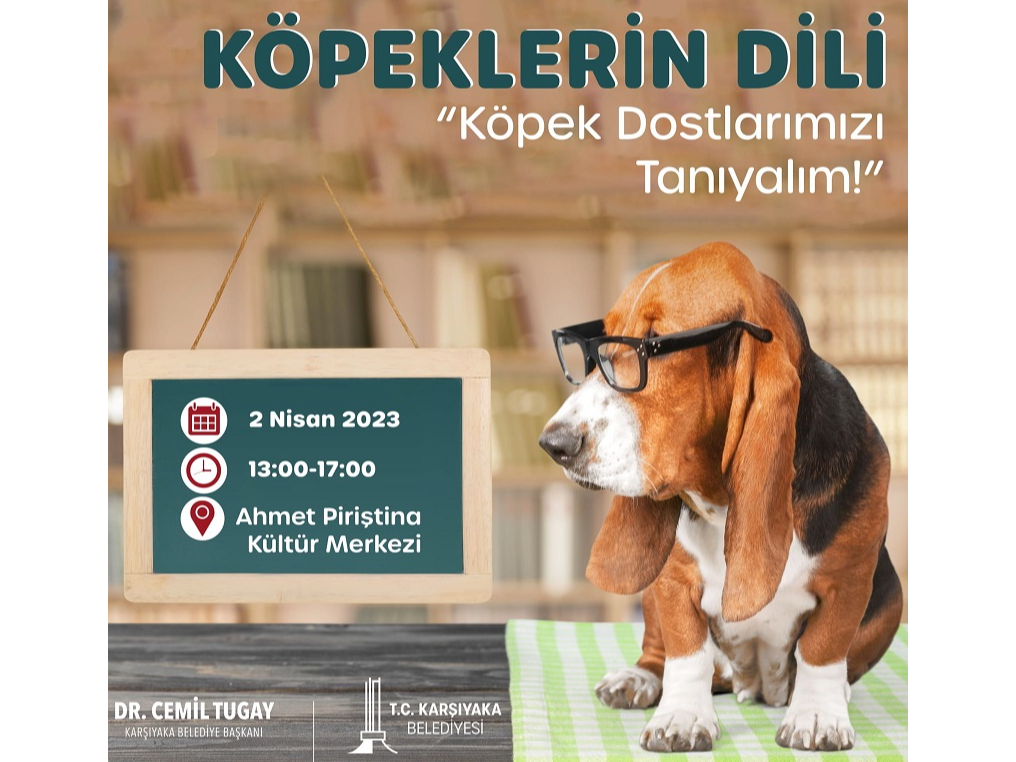 Köpeklerin Dili