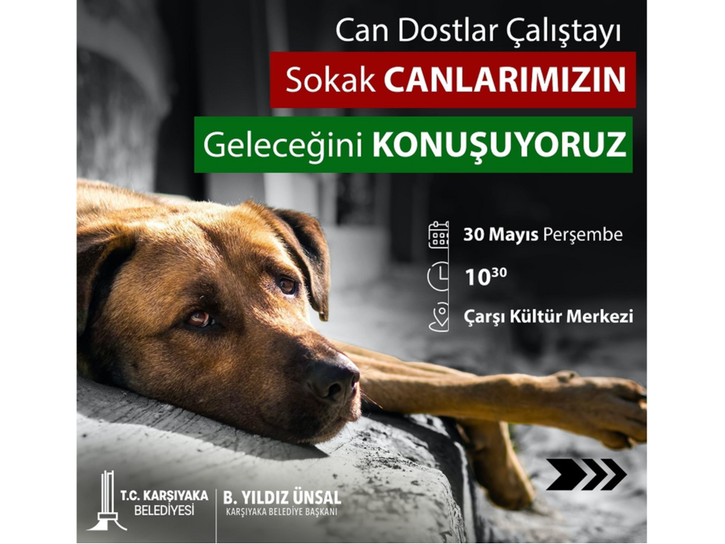 Can Dostlar Çalıştayı