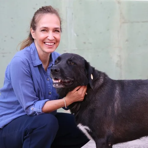 1 Yılda 40 Bin Can Dosta Şefkat Eli Uzandı haber fotoğrafı