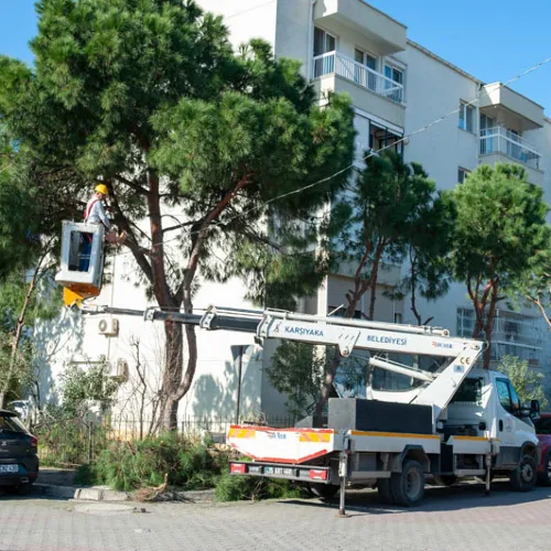 Karşıyaka’da Budama Seferberliği: Ağaçlar Bahara Hazırlanıyor haber fotoğrafı