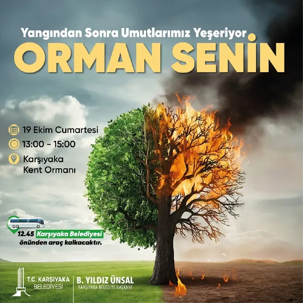 Orman Senin